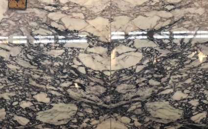 Calacatta Oro
